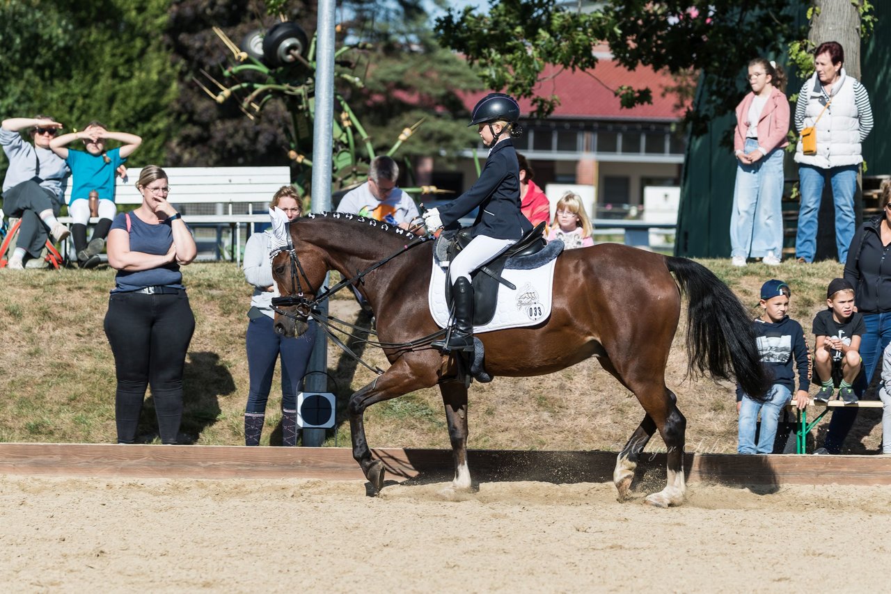 Bild 26 - Pony Akademie Turnier